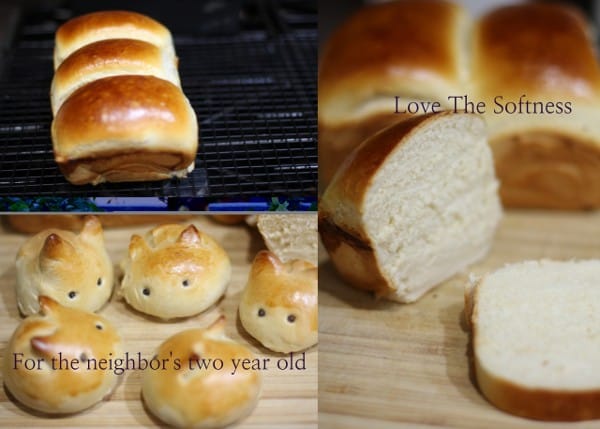 Tangzong Method bread