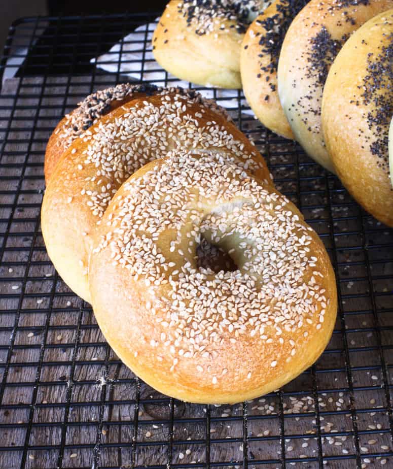 New York Style Bagels