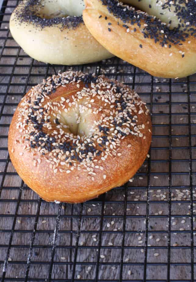 New York Style Bagels