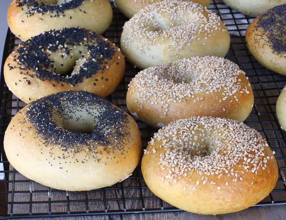 New York Style Bagels