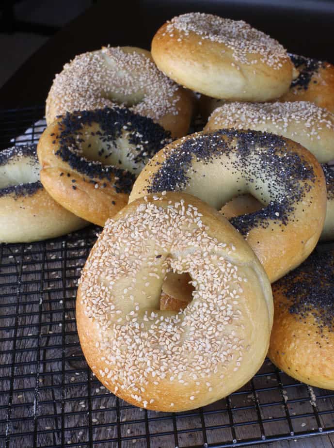 New York Style Bagels