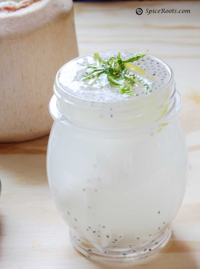 Coconut water Drink Recipe