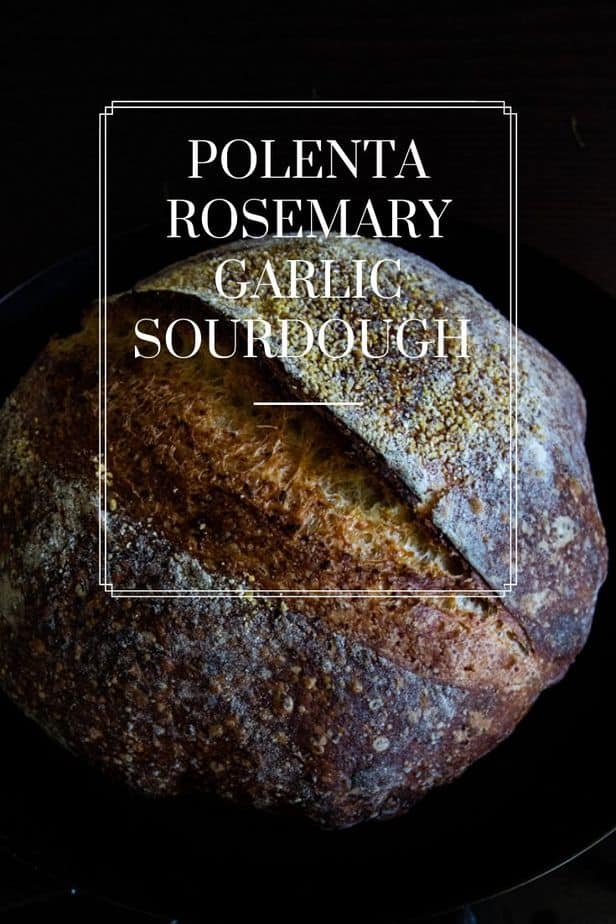 Polenta Rosemary Garlic Sourdough Bread SpiceRoots